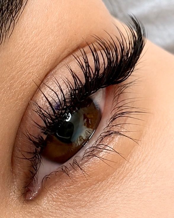 The same client's lashes after treatment
